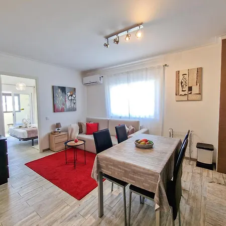 Rocha Seashell Portimao