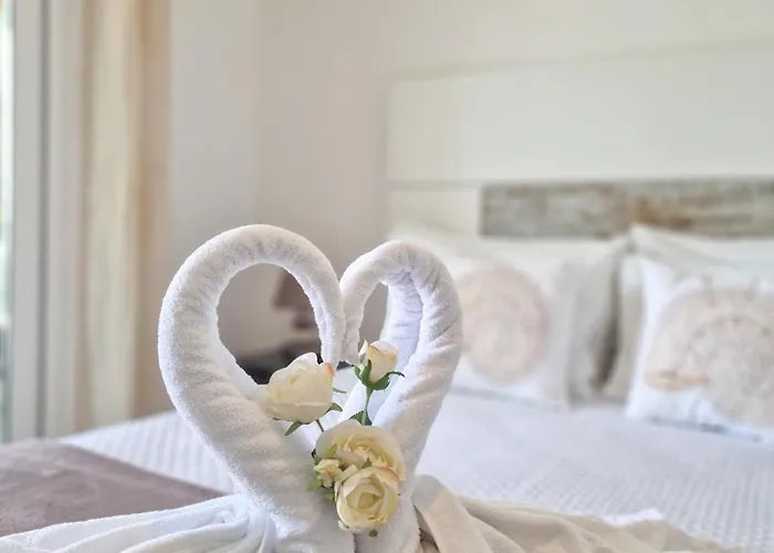 Rocha Seashell Daire Portimão