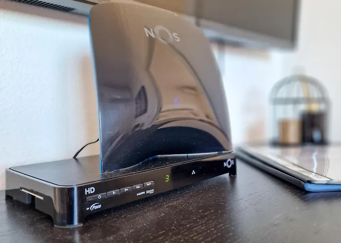 Daire Rocha Seashell *