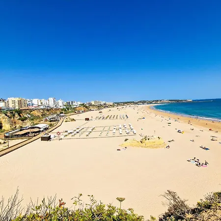 Rocha Seashell Apartament *