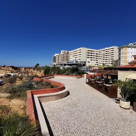 Apartament Rocha Seashell