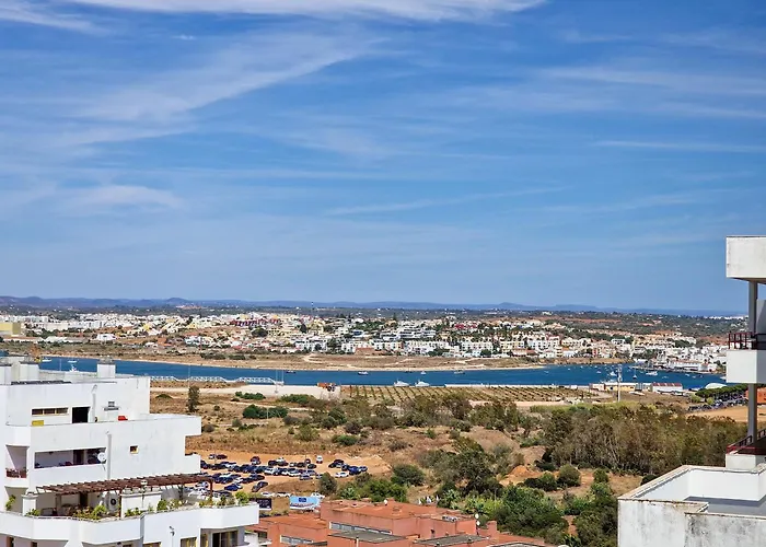 Rocha Seashell * ポルティマン